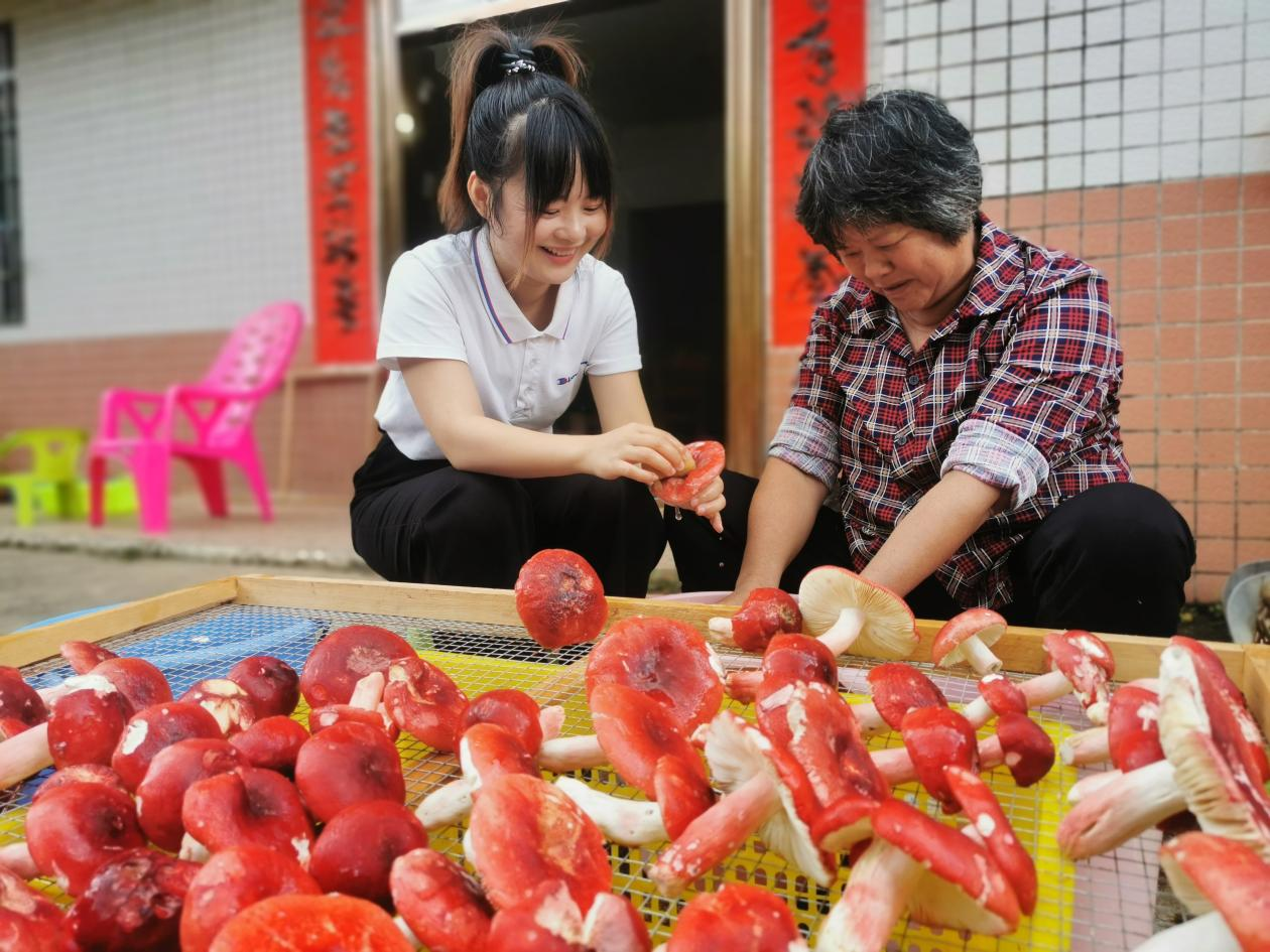 当地农户正在清洗红椎菌。受访者供图