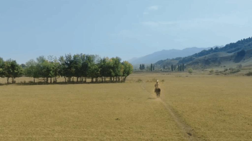 苏比努尔·阿卜杜麦麦提在那拉提草原策马奔腾。受访者供图