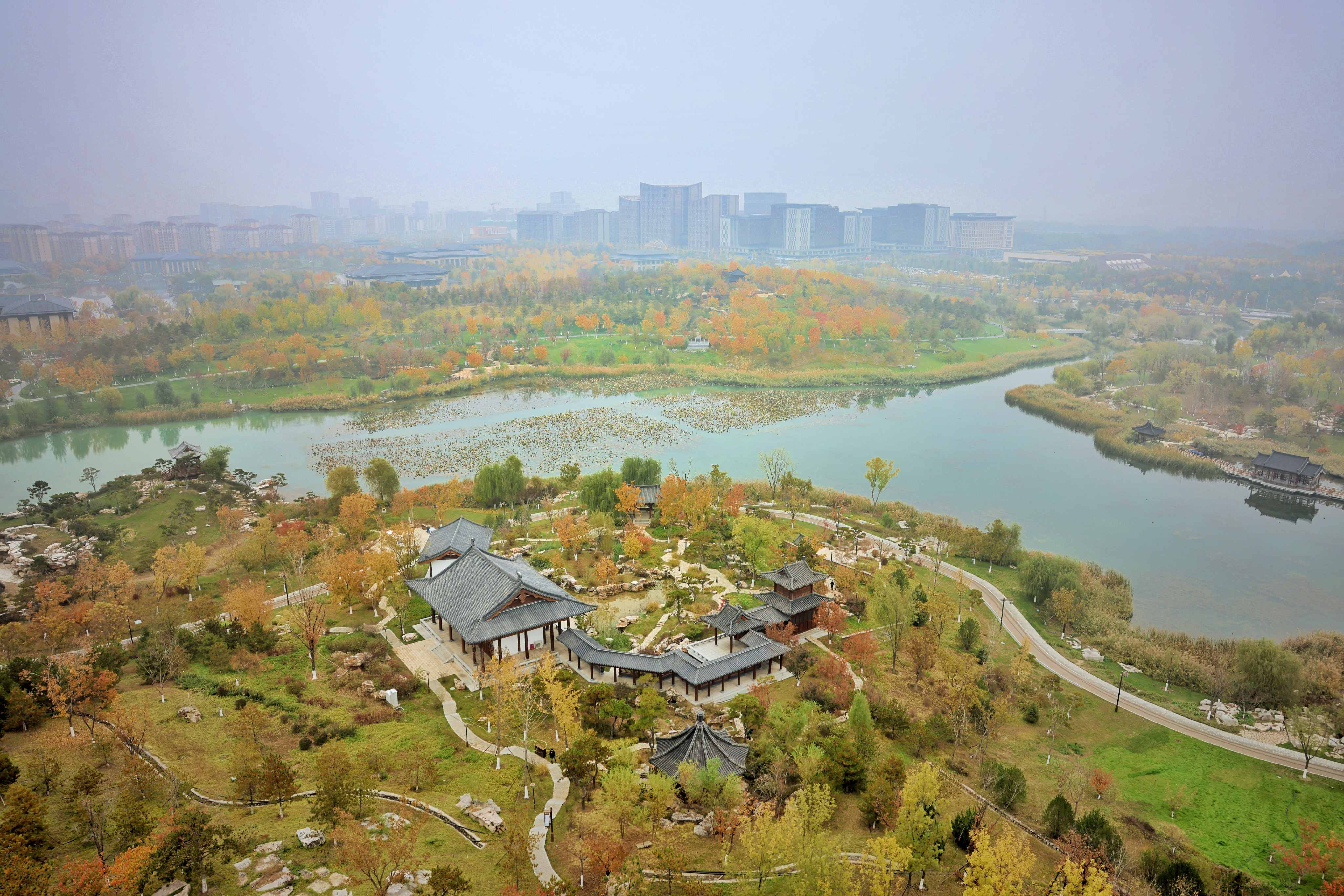 雄安新区悦容公园秋色宜人。人民日报记者 蒋雨师摄