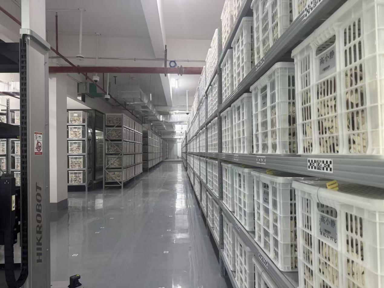 恆溫恆濕的陳皮智能公共倉內部。受訪者供圖