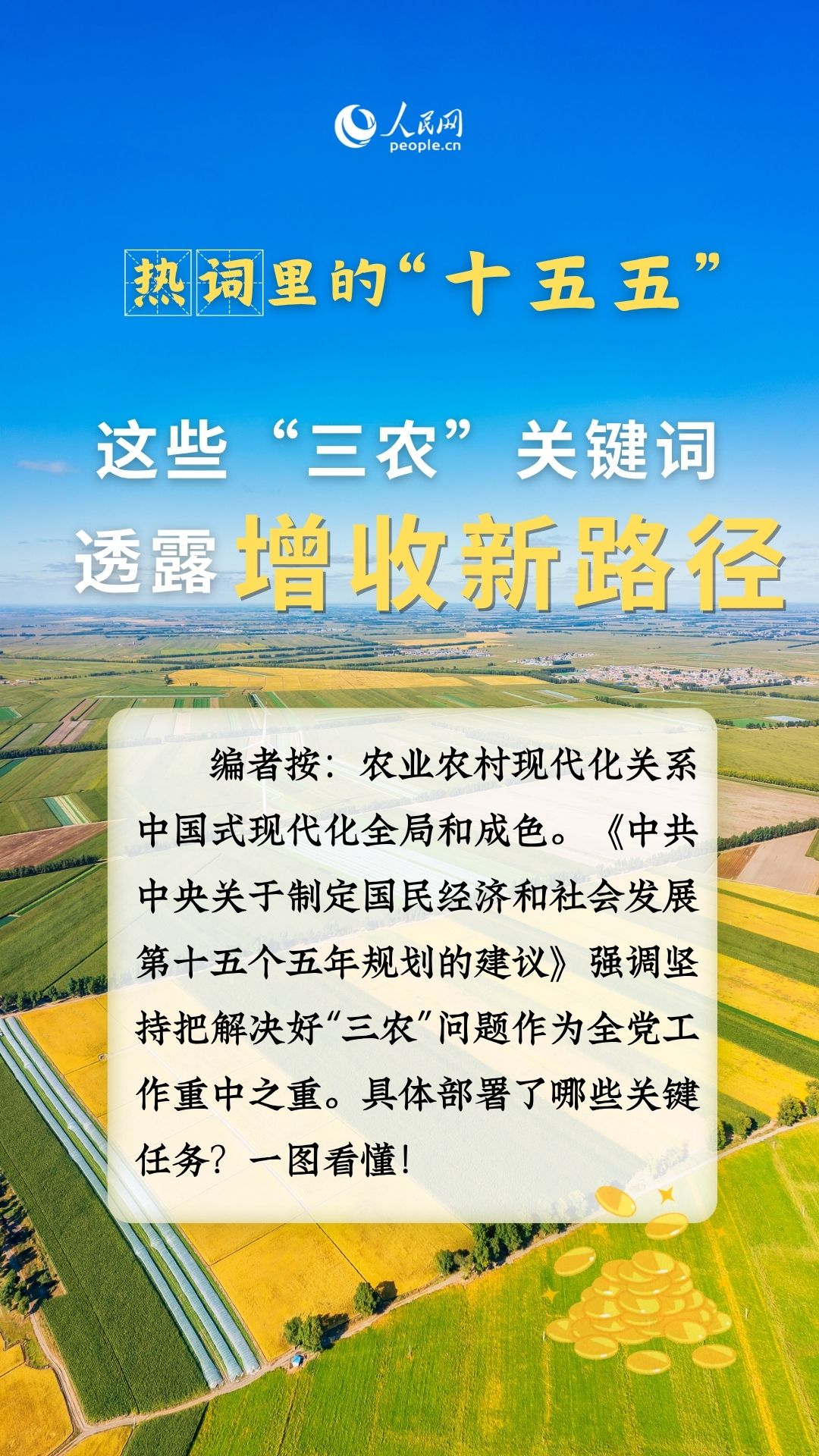 热词里的“十五五”丨这些“三农”关键词，透露增收新路径