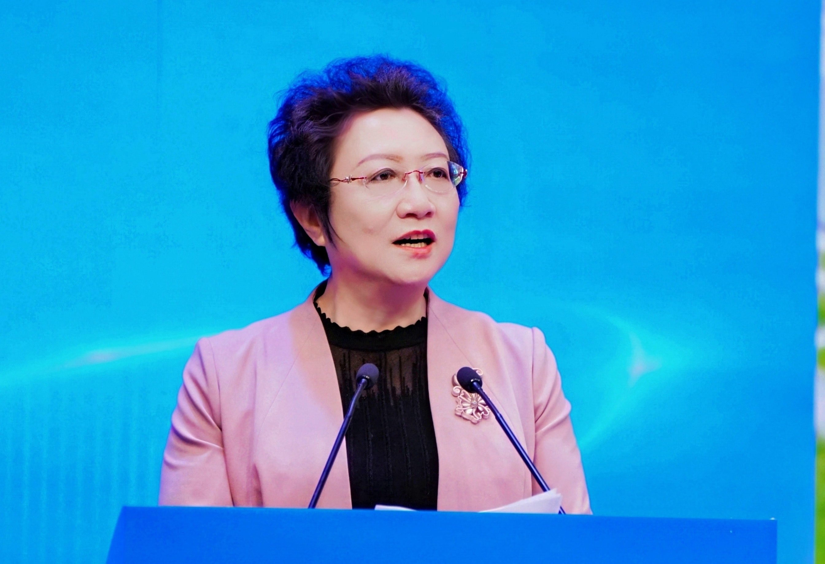 全国政协委员、全国妇联常委、内蒙古自治区妇女联合会党组书记、主席王芳