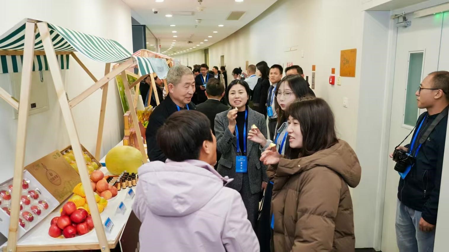 参观者试吃乌停苹果。