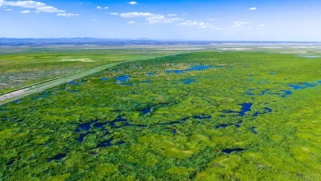 敦煌濕地。受訪者供圖