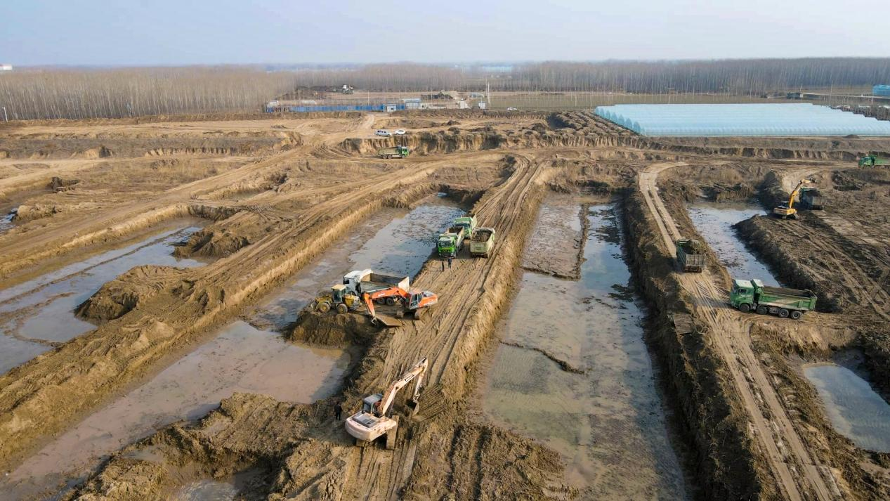 位山灌區西沉沙池6號池清淤工程施工現場。山東省水利廳供圖