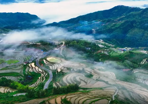 自然资源部：将代表委员“真知灼见”转化为“良策实招”　　 牵头办理的建议提案中，已经采纳、部分采纳，本年度能够基本解决或者所提问题已有规定的206件，占主办件的86.6%。2021-03-09 23:07