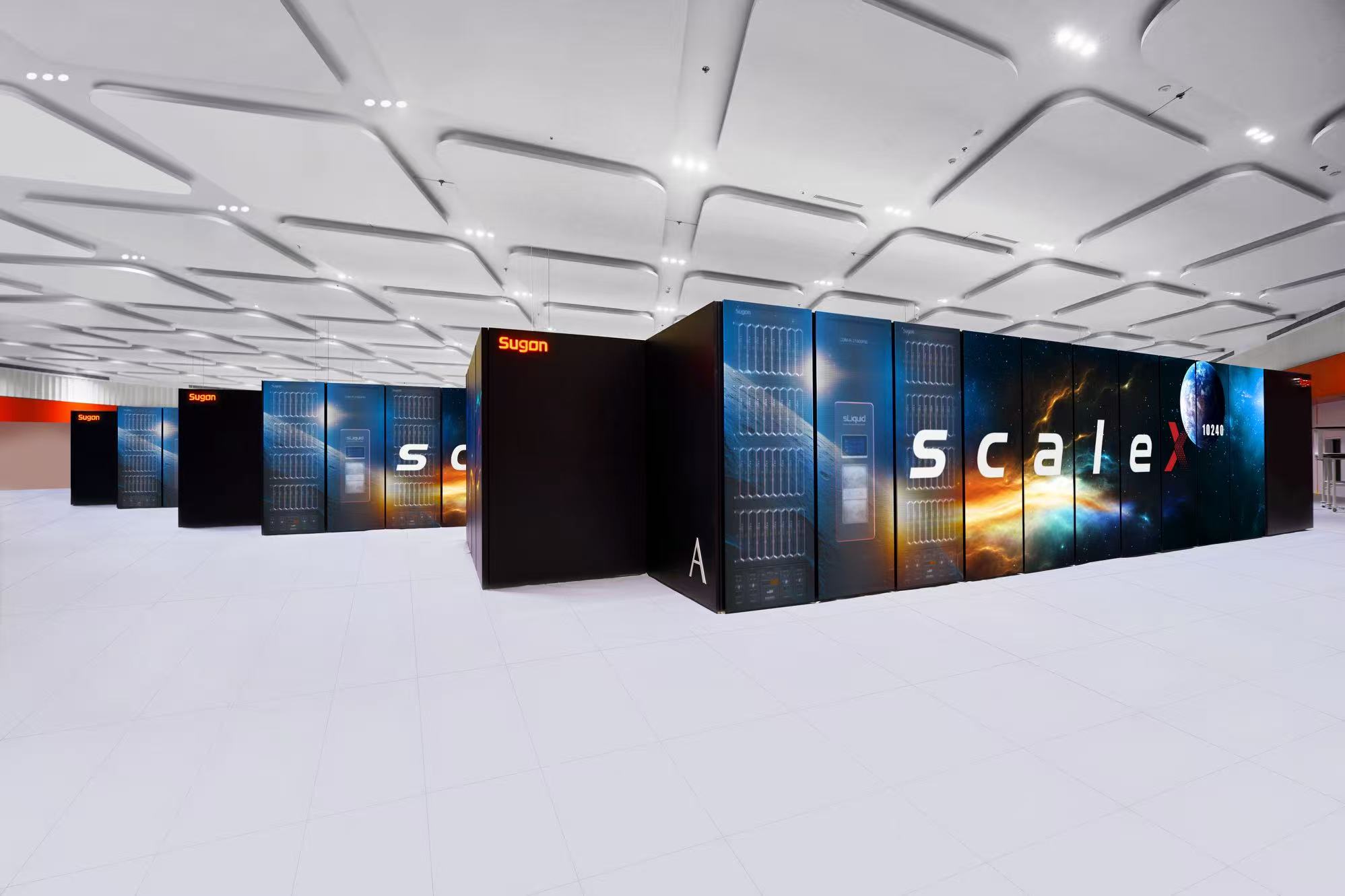 （受访者供图）