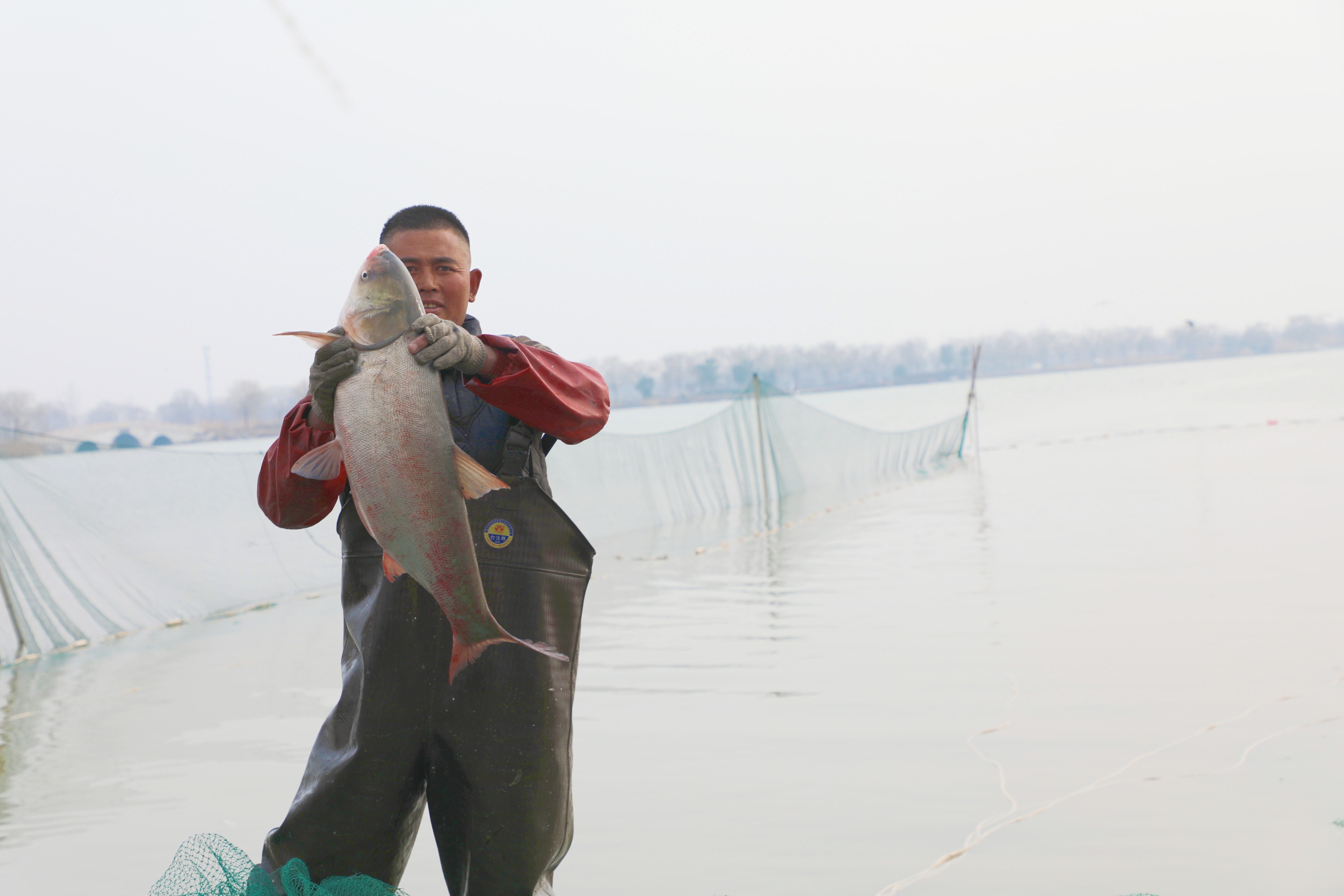 捕上来的“福鱼”。人民网记者 王天乐摄