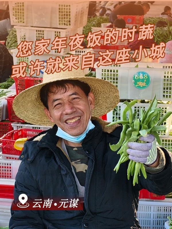 年夜饭的时蔬或许来自云南这座小城
