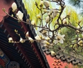 【財經觀察】 春日經濟活力迸發 “花”樣經濟孕育新動能