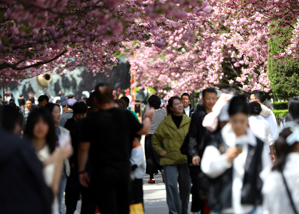 游客在景區漫步。主辦方供圖