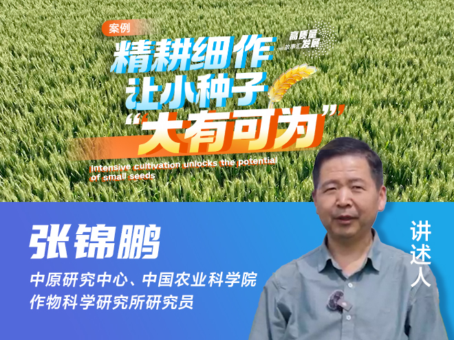 案例三
