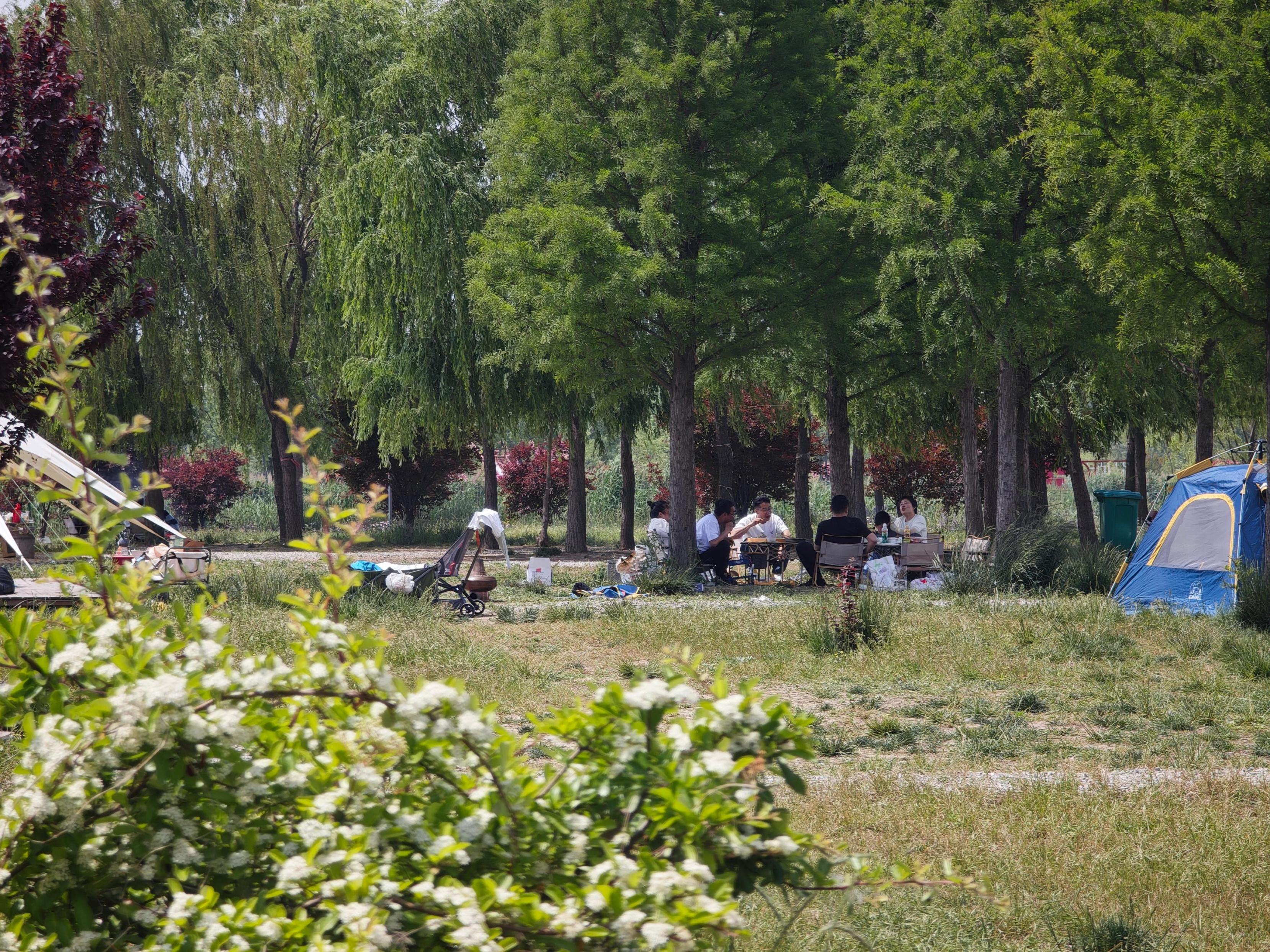 五一期间游客在露营地野餐最靠谱股票配资平台。人民网记者 王天乐摄