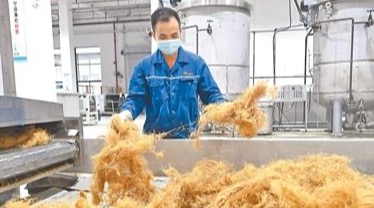 “以竹代塑”助汽车产业发展