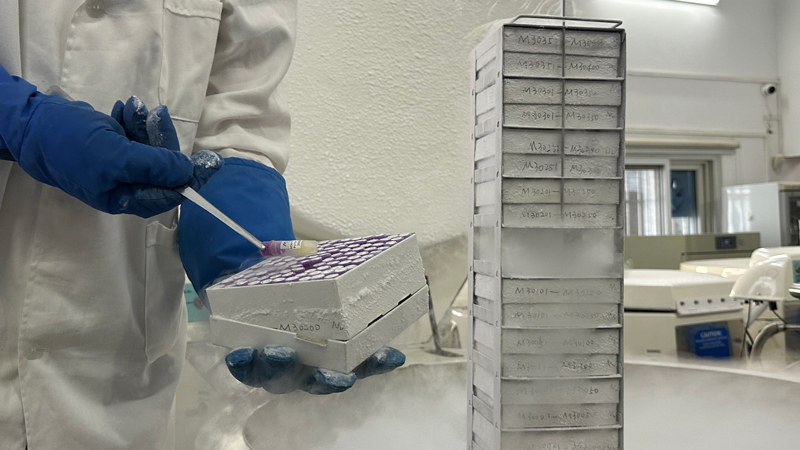 海洋微生物菌种收藏。东谈主民网记者 王绍绍摄
