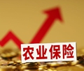 【財經茶座】 多措並舉提高農業保險理賠效率