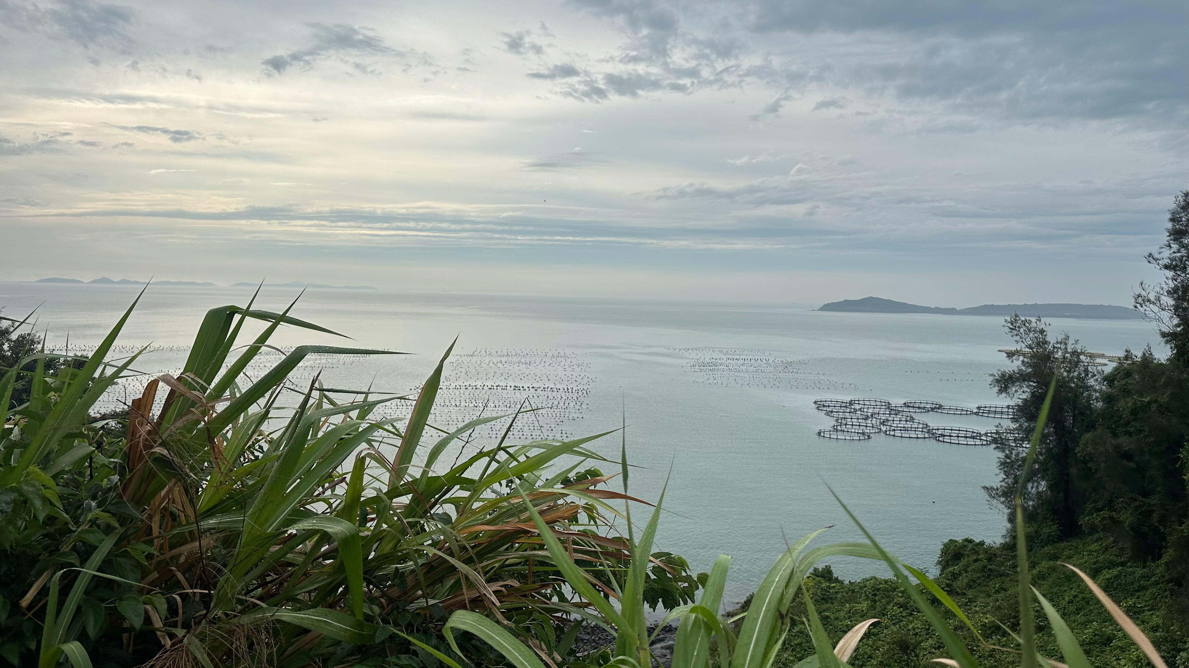 大陳島海邊。人民網記者 王紹紹攝