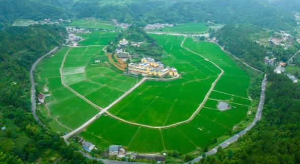 贵州 | 岑巩：稻田青青乡村美