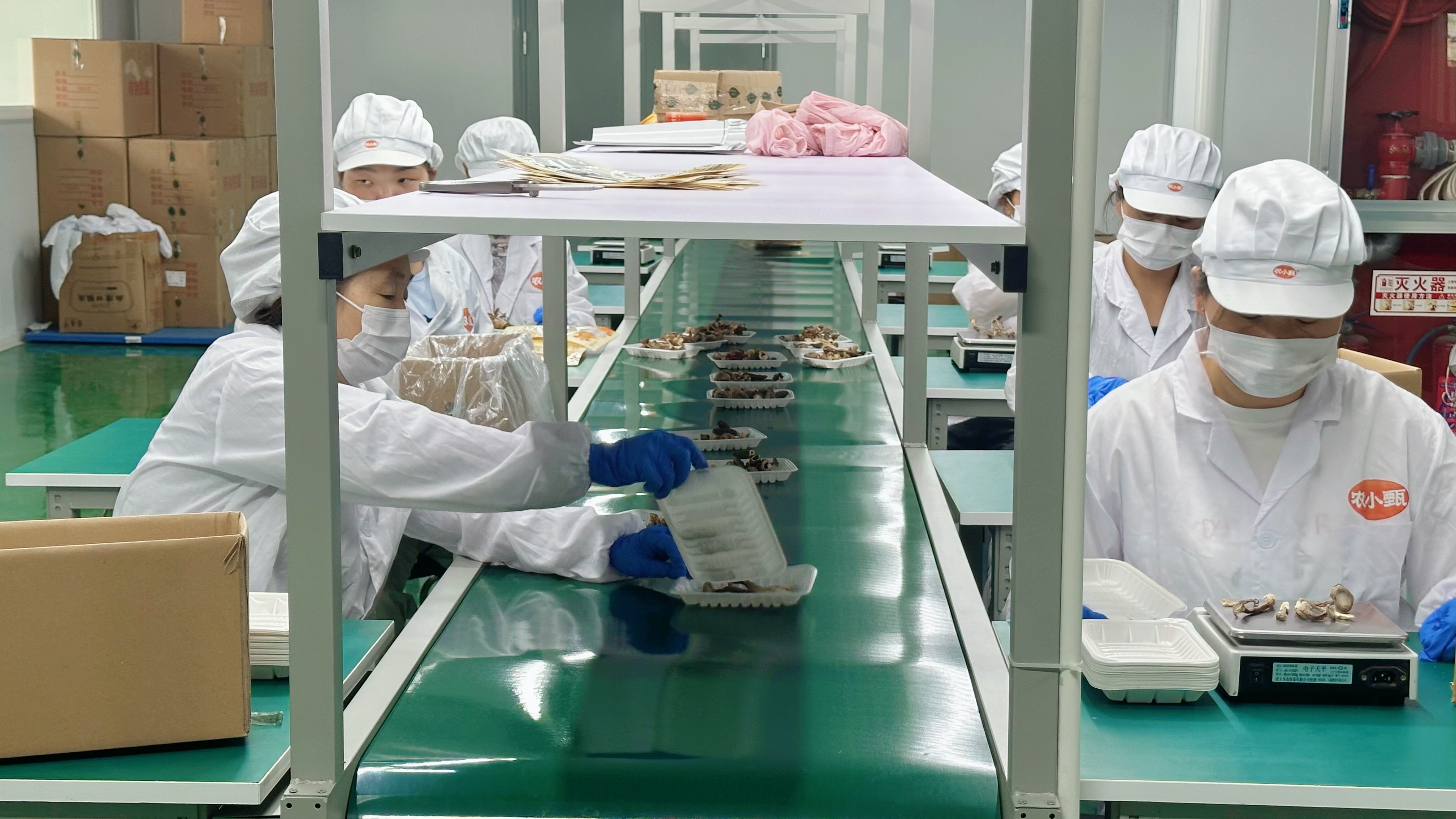 工人正在作业。人民网记者 王绍绍摄