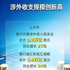 上半年我國外匯市場運行平穩