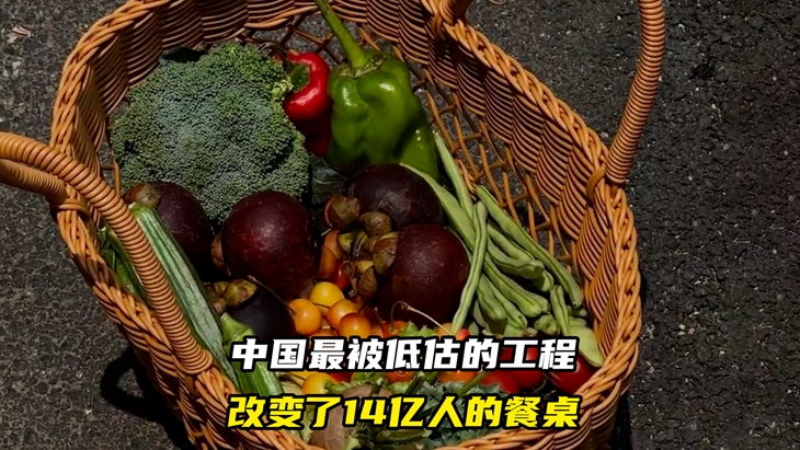 中國最被低估的工程 改變了14億人的餐桌