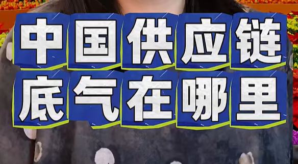  走進鏈博會，中國供應鏈底氣在哪？                        2026年06月25日