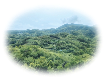  近年來，寧波奉化聚焦礦山宕口、退化林地等“生態疤痕”，做實工程化復綠修復，讓碧海青山相得益彰。資料圖片