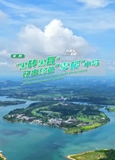 案例三