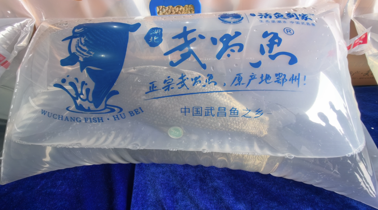 鲜活包装的武昌鱼。本报记者吴君 摄