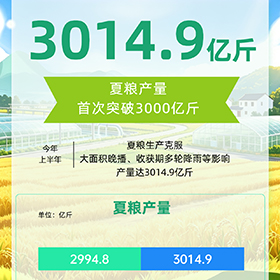 開局之年話豐收