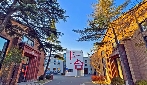 “村”裡來了年輕人