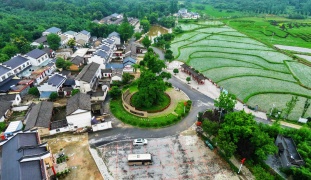 河南信阳，何家冲。这是一座三面环山的小村。92年前，红二十五军从村口的银杏树下出发，开始了伟大的长征。这支队伍最终成为最先到达陕北的中国工农红军，被誉为长征先锋。此后，大别山军民坚持战斗，铸就“28年红旗不倒”的革命传奇，激励一代代人奋进。红军碾旁，游人如织，追寻红色故事；万亩茶山，藏着富民兴业的绿色密码；产业园里，一台台自主研发的风电设备，打破国外垄断……如今在大别山走一走，茶园的风、山间的路，都会告诉你老区的新变化。