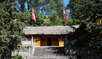 一杖一镯藏深情