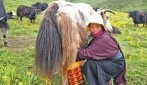 日子有奔头