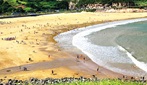 不打鱼，也吃海