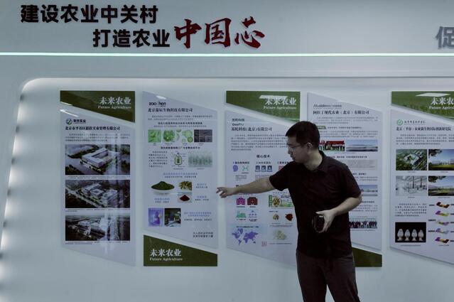北京京瓦农业科技创新中心执行主任郭斗斗