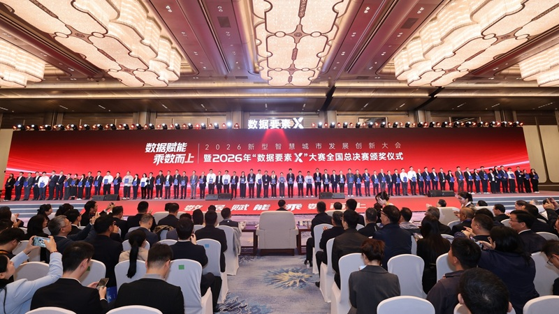 乘“数”而上:“数据要素×”三年行动收官观察(图1)