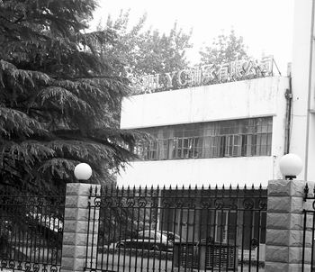 洛轴争购战舍弗勒不战而退