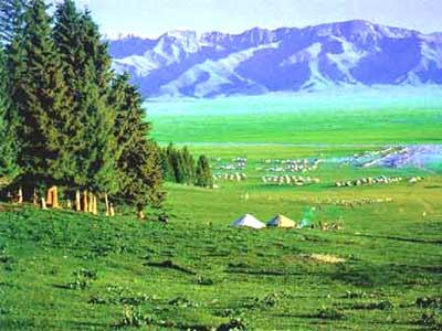 草原旅游让哈萨克牧民迅速致富