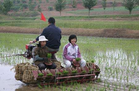 中国驻朝大使驾驶插秧机 参加朝鲜支农劳动(图