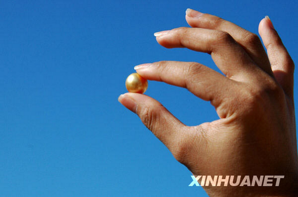 [组图]金色珍珠是怎样炼成的?