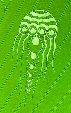 麦田怪圈真相--新农村--人民网