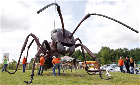 德国农场上的巨型蚂蚁 (3)