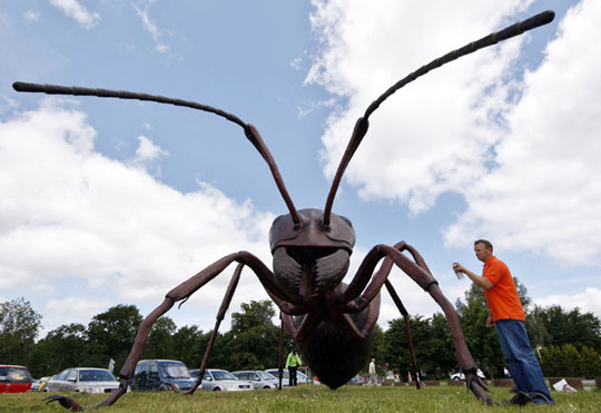 组图:德国农场上的巨型蚂蚁--新农村--人民网