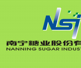 南宁糖业股份有限公司--人民网经济频道-上这里