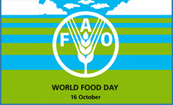 2009年10月16日世界粮食日，主题“应对危机，实现粮食安全”。