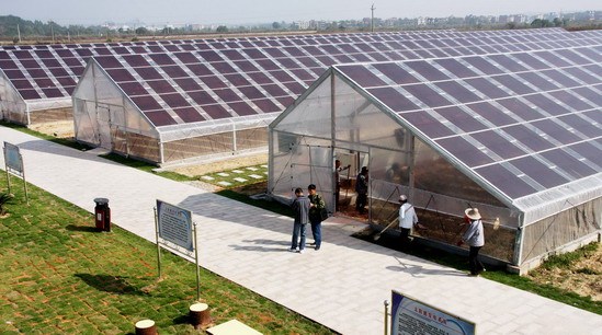 我国首个太阳能大棚发电系统正式运行 (2)