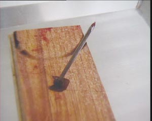 男子将10厘米铁钉钉进妻子脑中 骗巨额保险(图