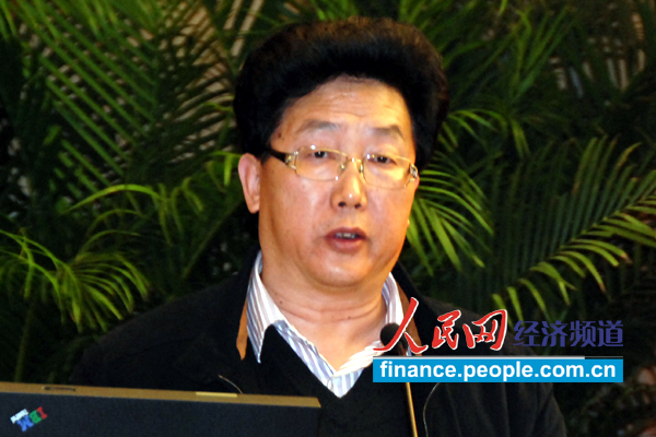 重庆市经信委副主任刘卫东演讲--人民网经济频
