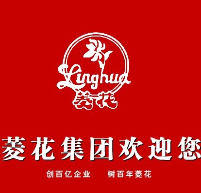 收入证明_菱花集团 2017 收入